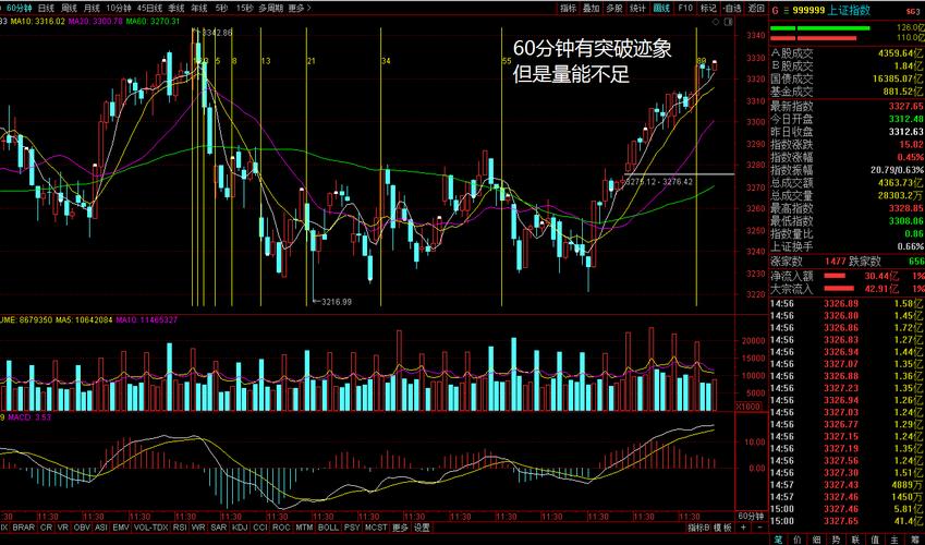 大盘点数(大盘的点数是什么意思)